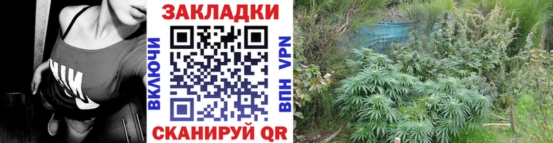 Псилоцибиновые грибы Верхняя Тура