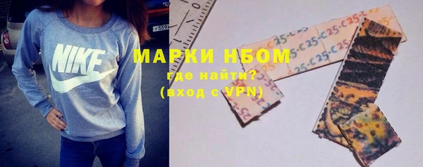 ешки Аркадак