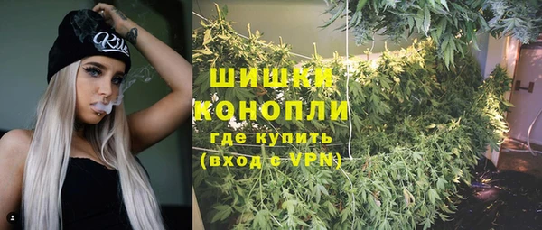 ешки Аркадак
