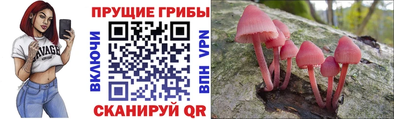 mega сайт Верхняя Тура Галлюциногенные грибы мицелий